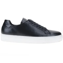 D571-T09 NAPA NEGRO