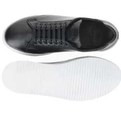 D571-T09 NAPA NEGRO